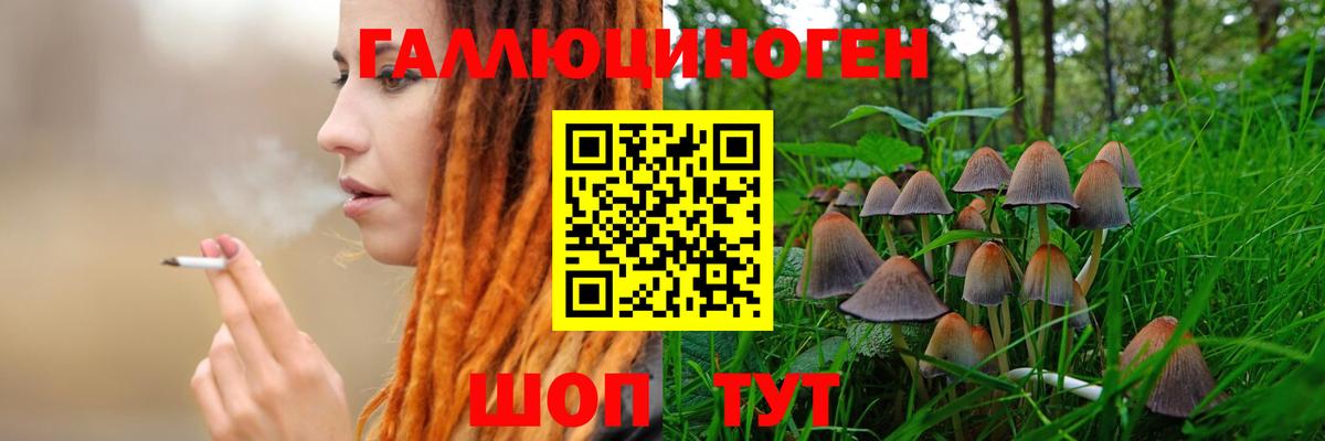Куйбышев  Псилоцибиновые грибы GOLDEN TEACHER  как найти закладки  Вход с VPN  Галлюциногенные грибы ЛСД 